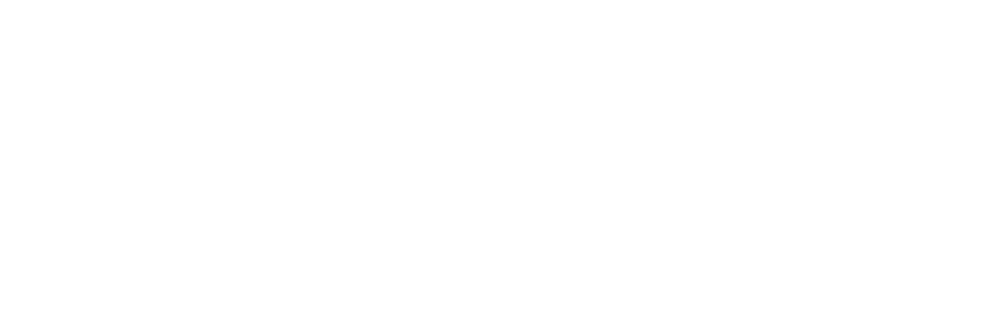 Fraunhofer Logo White